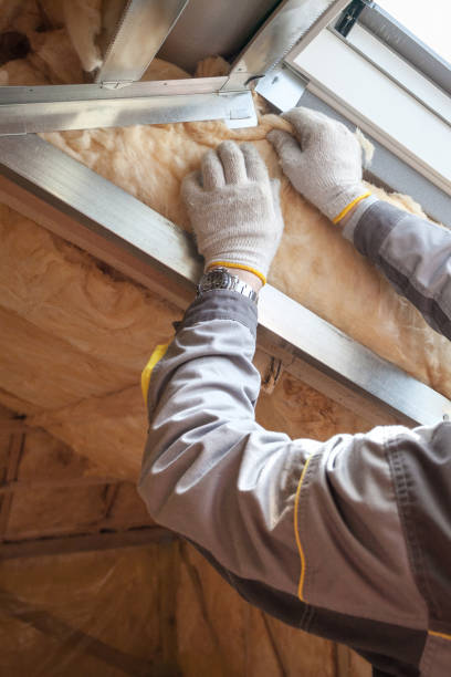 Best Professional Insulation Contractor  in Hephzibah, GA