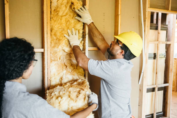 Best Insulation Contractor Near Me  in Hephzibah, GA