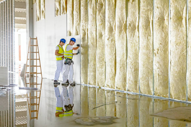 Best Blown-in Insulation  in Hephzibah, GA